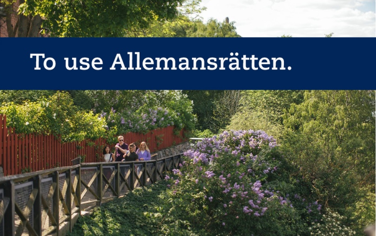 To use Allemansrätten. Students walking through greenery.
