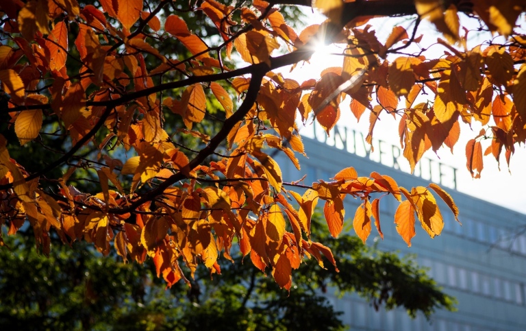 Frescati in autumn colours. 