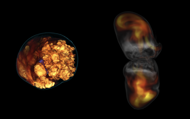 Numerical simulation of a supernova