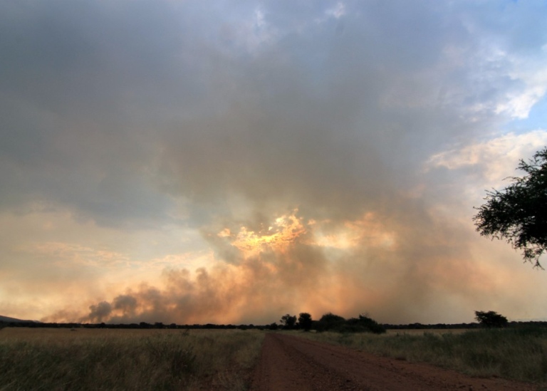 Kontrollerade bränder är ett viktigt förvaltningsverktyg i Serengeti nationalpark.