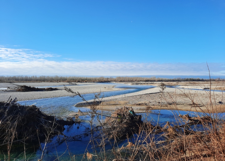 A view of the Tagliamento in NE Italy, one of the rivers of the project". Credits Anna Scaini