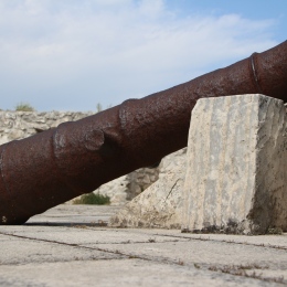 Rusty cannon