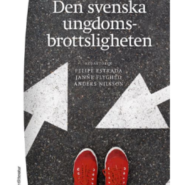 Cover photo: Den svenska ungdomsbrottsligheten