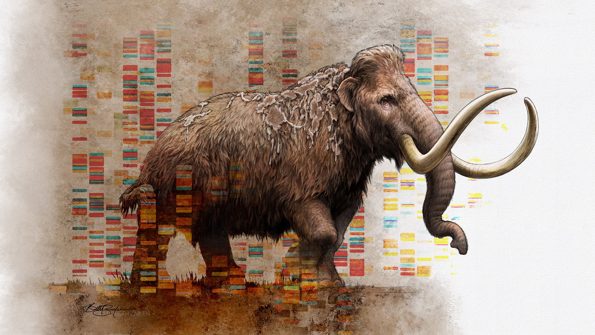 ancestral mammoth