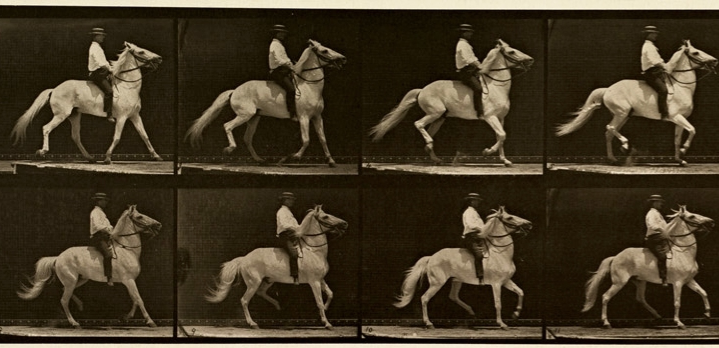 Detalj av Animal locomotion. Plate 589, av Muybridge, Eadweard, 1830-1904