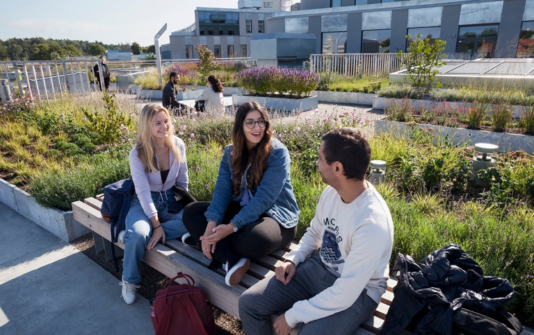 Studenter på terassen, Campus Albano