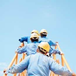 Workers on a ladder