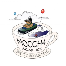 Coffe cup with ice breaker oden , ice-floes and balloons inside,and MOCCHA written on the outside