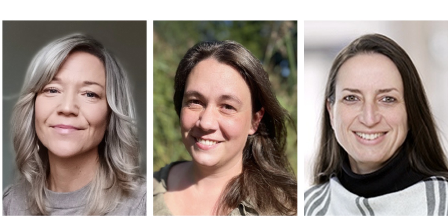 Porträttfoton av tre forskare