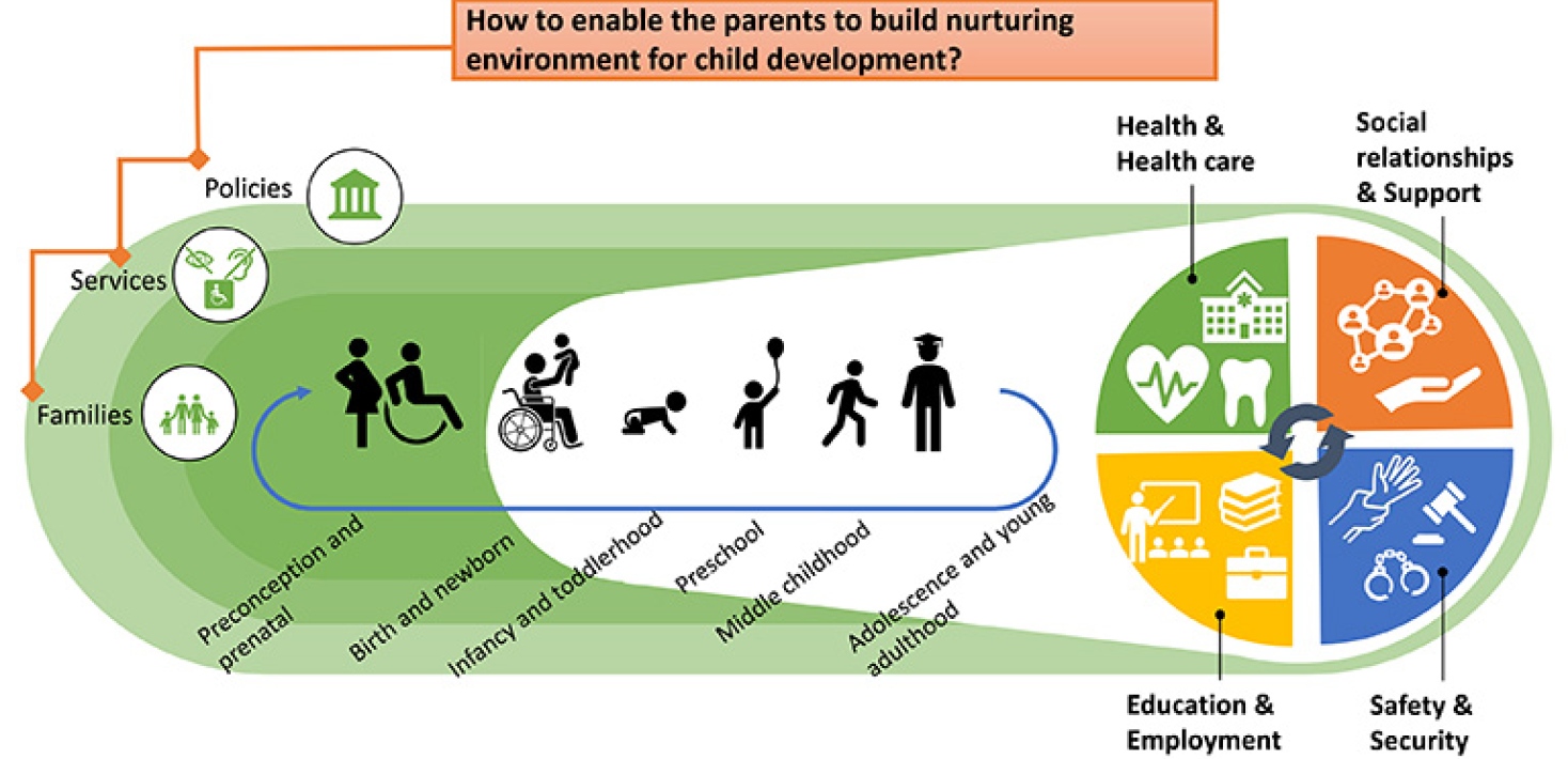 Conceptual framework for understanding developmental outcomes over lifecourse and generations