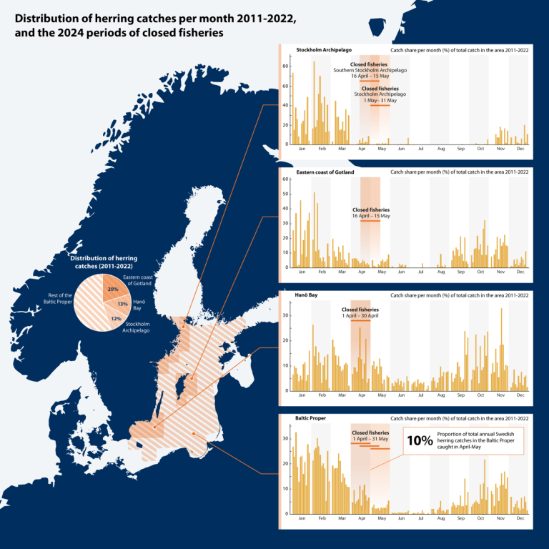 Sillfångster Centrala Östersjön 2011-2022