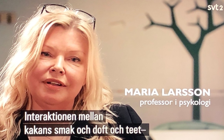 Maria Larsson på SVT (skärmbild från filmen)