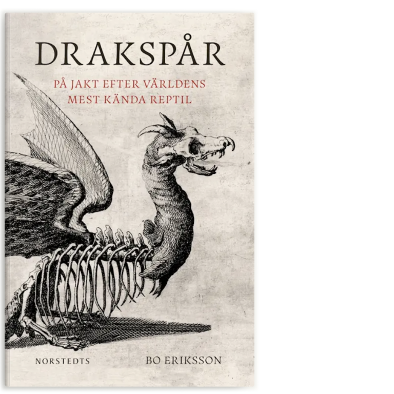 Bokomslag med illustration av drake