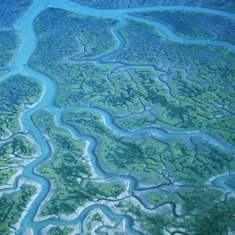 Blue and green River delta, Humboldt Bay, California.