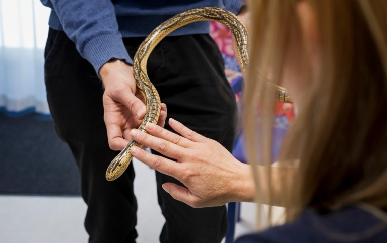 En person håller i en snäll orm, som en annan person klappar försiktigt. Foto: Jens Olof Lasthein