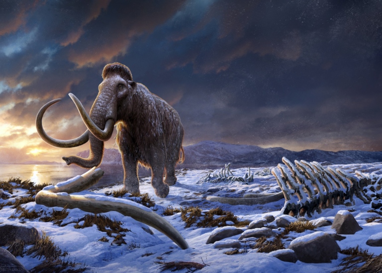 Illustration på en mammut vid Wrangels ö