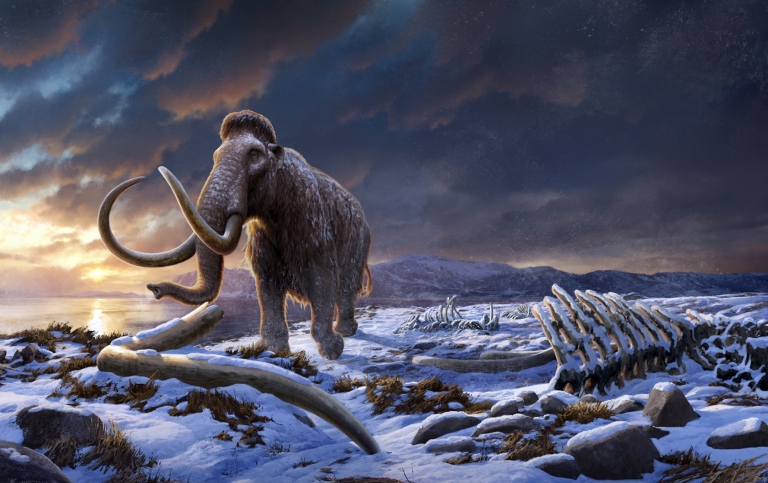 Illustration of a mammoth