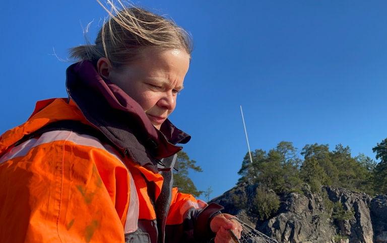 Sara Westerström take care of the fish net that was left in the bay overnight