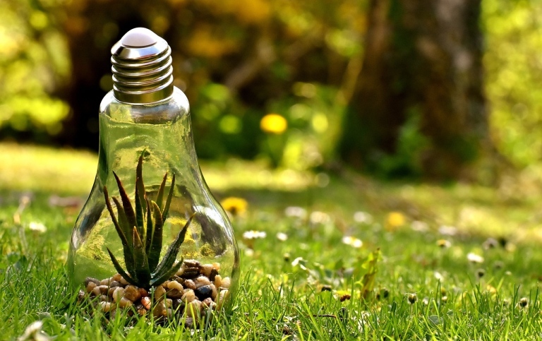 A light bulb on a lawn