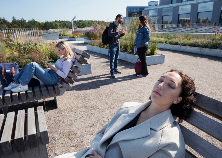 Två kvinnliga studenter solar och en manlig och en kvinnlig student diskuterar på en av terrasserna