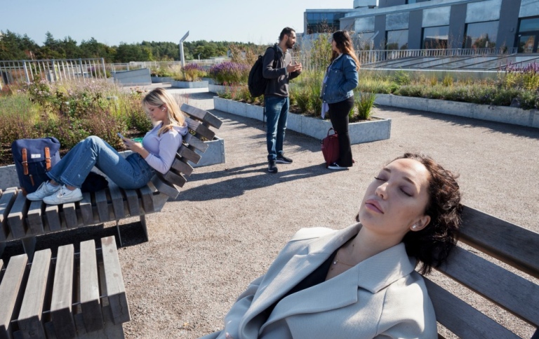 Två kvinnliga studenter solar och en manlig och en kvinnlig student diskuterar på en av terrasserna 