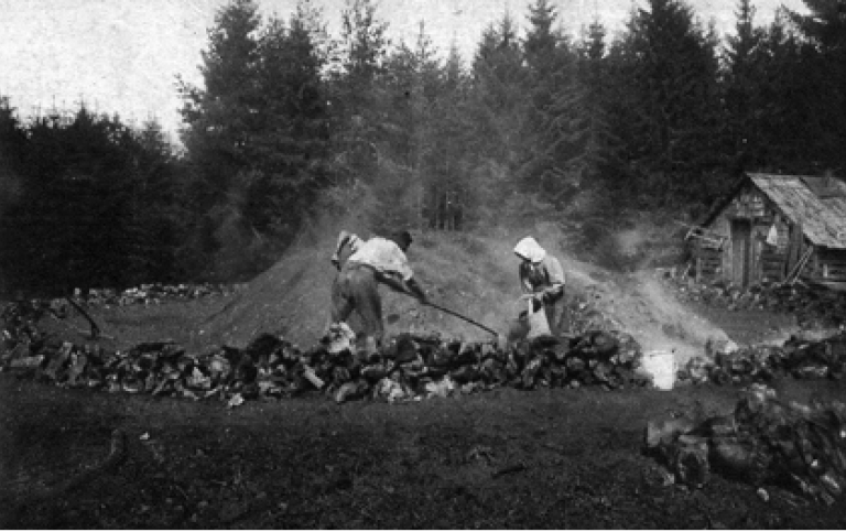 Vykort från ca år 1900, man och kvinna drar ut kol med störkrokar.