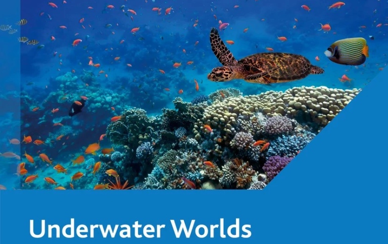 Underwater Worlds - An Ethnography of Waste, Pollution, and Marine Life