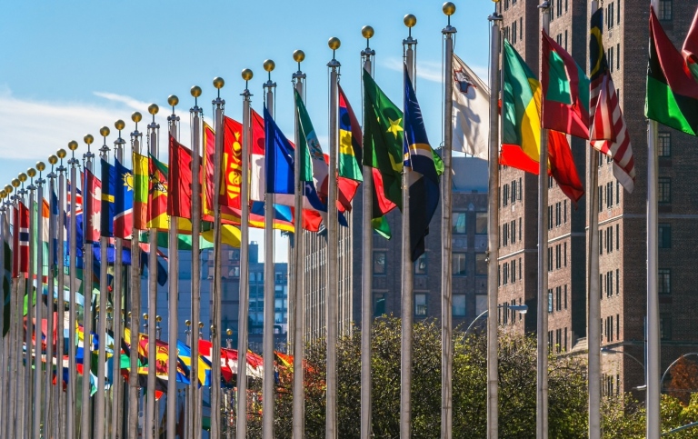 Flags from all countries outside of the UN building in NYC. Photo: Andrew Kazmierski © Mostphotos