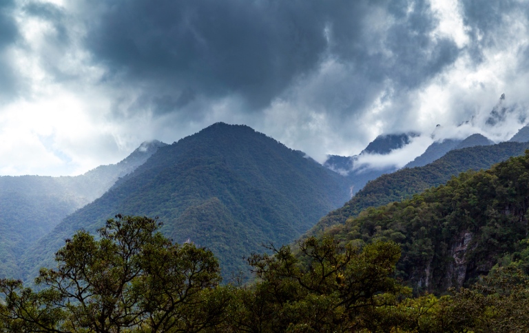 Amazon Cloud Forest