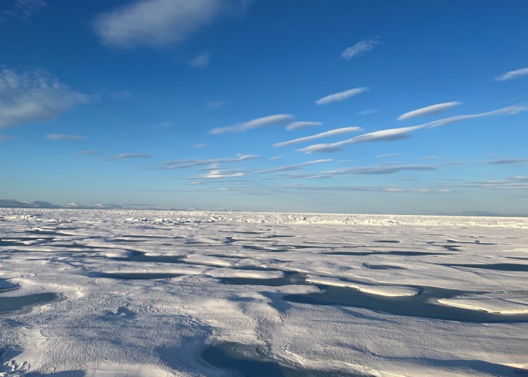 Arctic view. Photo: Johan Nilsson/MISU/Stockholm University