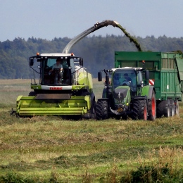 Field chopper and field wagon collect forage crops for silage