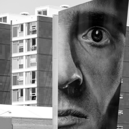 Wellington public art